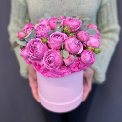 7 розовых пионовидных роз в коробке